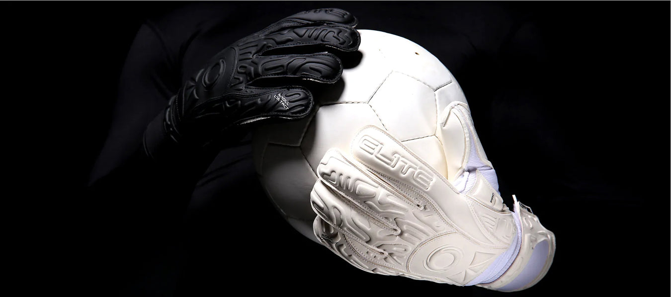 COLLECTION 2023/2024